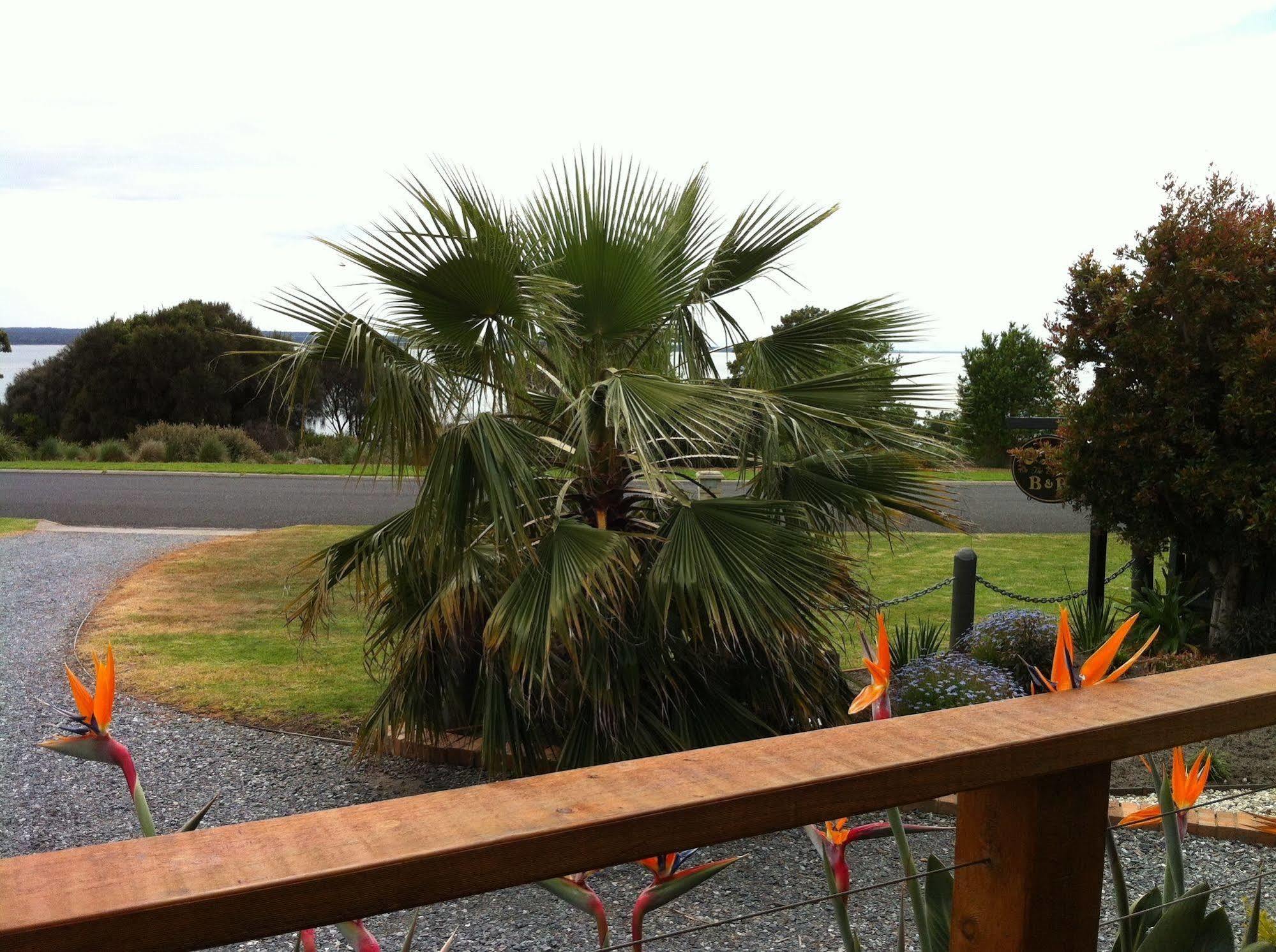 Corinella On The Esplanade Bed&Breakfast Exterior foto